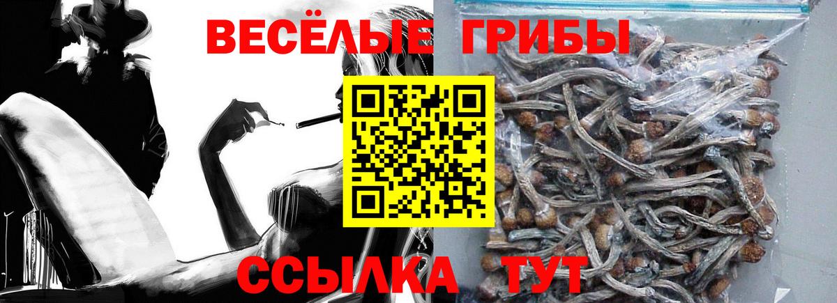 Псилоцибиновые грибы мухоморы  Галлюциногенные грибы прущие грибы  Вход с VPN  Видное 
